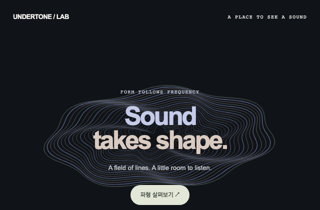 동심 파형과 무음 시각화 진입 정적 미리보기
