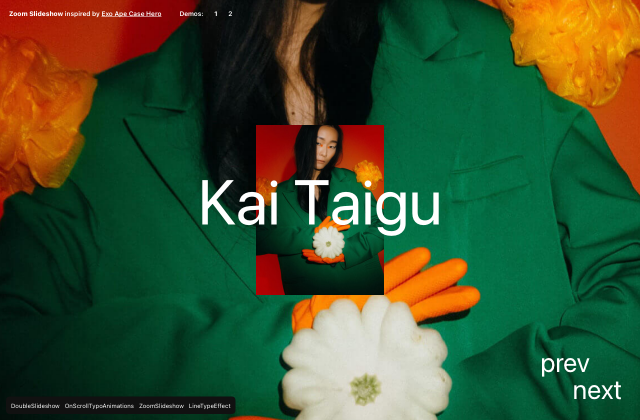 4 Exclusive Demos: Slideshows & Typographic Animations 정적 미리보기