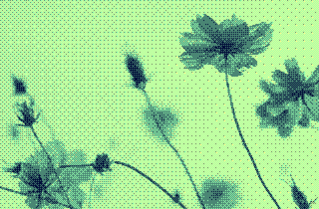 image dithering 정적 미리보기